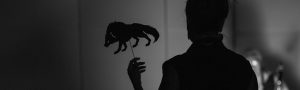 A photograph of a human figure in silhouette holding a shadow puppet in the shape of a wolf